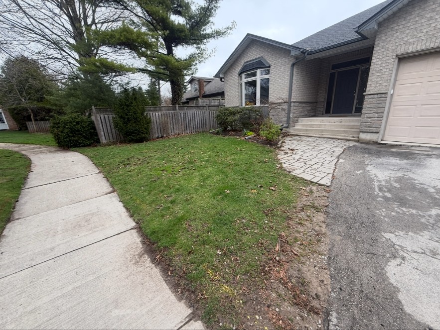 Before — Lawn renovation program