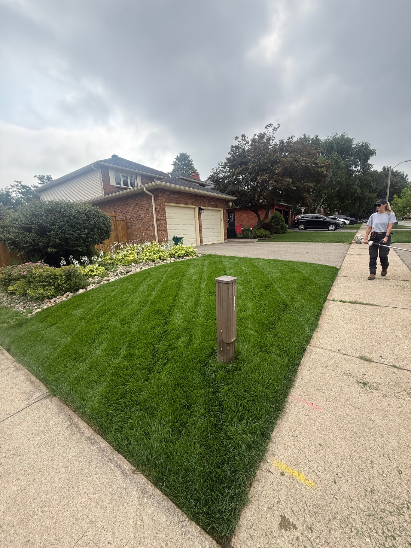 After — Front lawn sod transformation