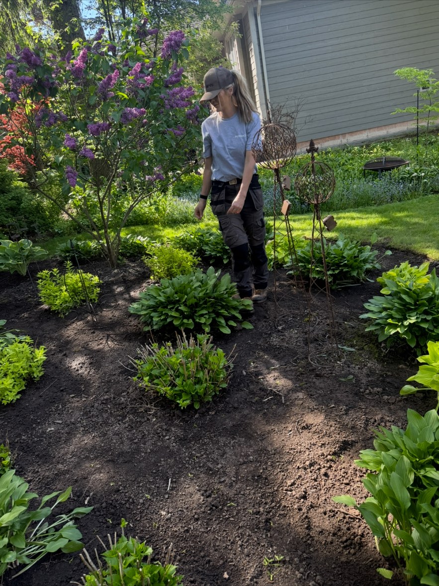 CBR Property Care team member planting a fresh garden bed with lilacs and hostas