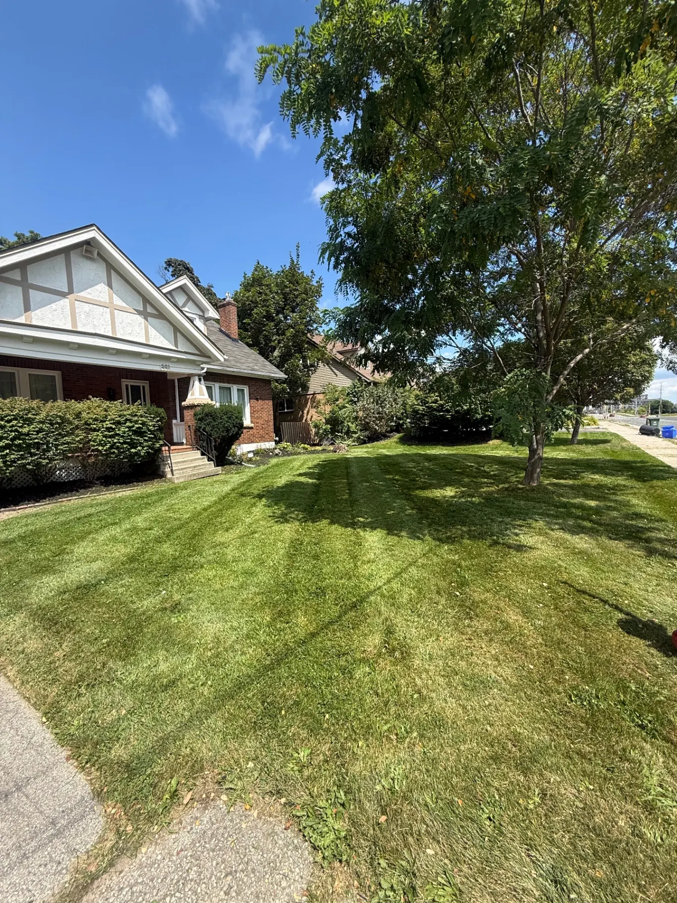 Freshly mowed front lawn with mowing stripes