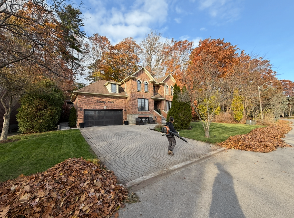 Spring & Fall Cleanups