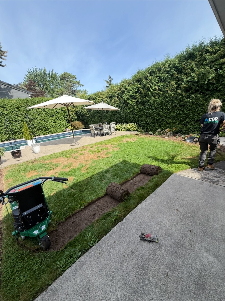 Sod rolls ready for install in a poolside backyard