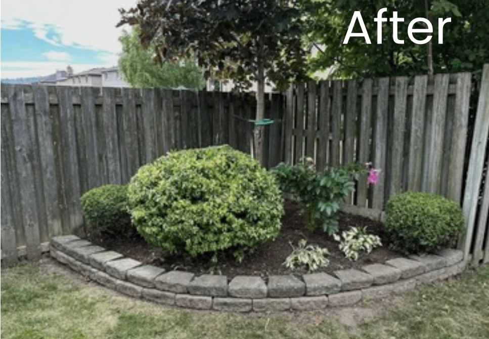 After — Garden bed cleanup & fresh mulch