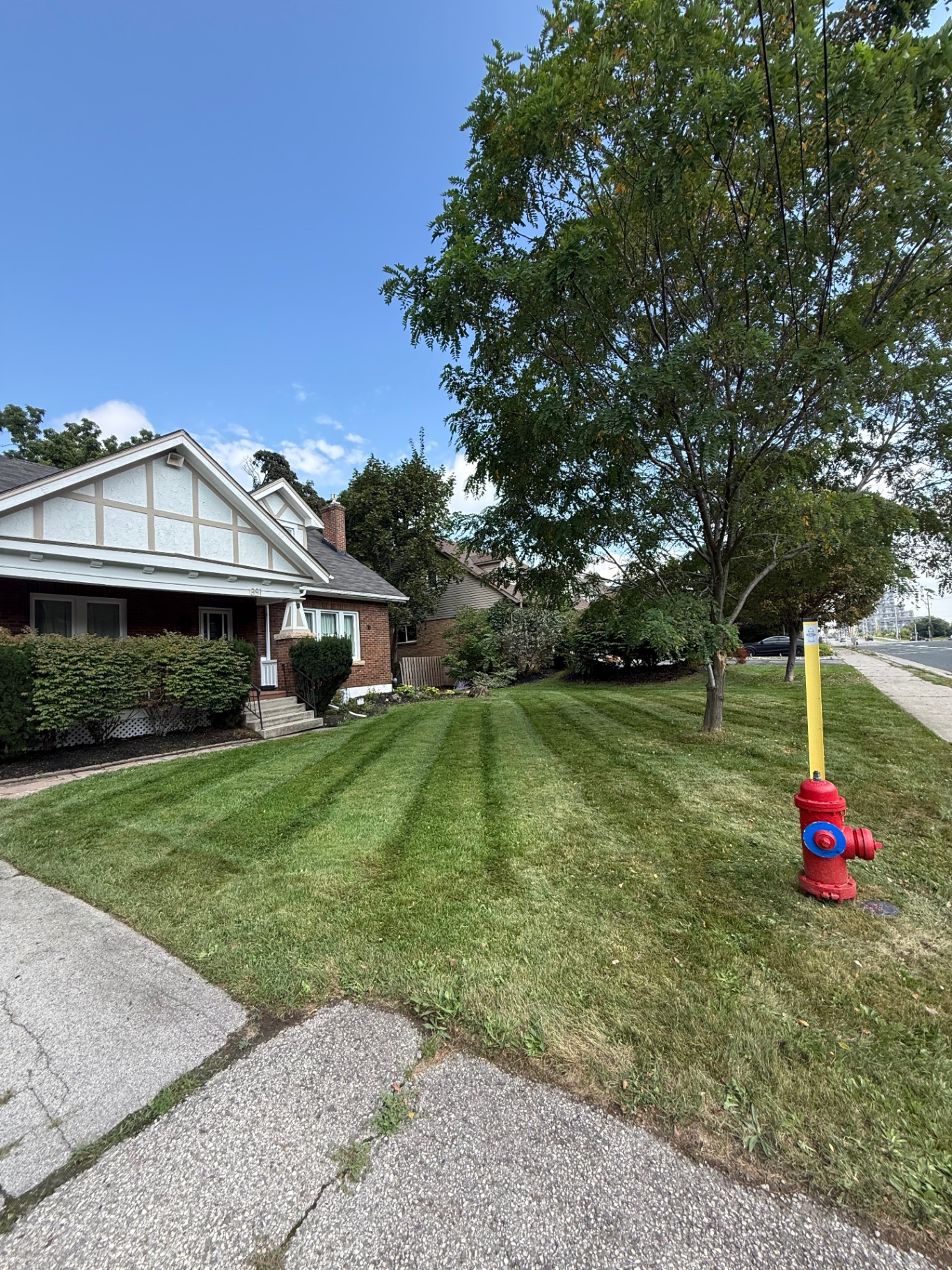 Freshly striped front lawn along a residential street, mowed by CBR Property Care
