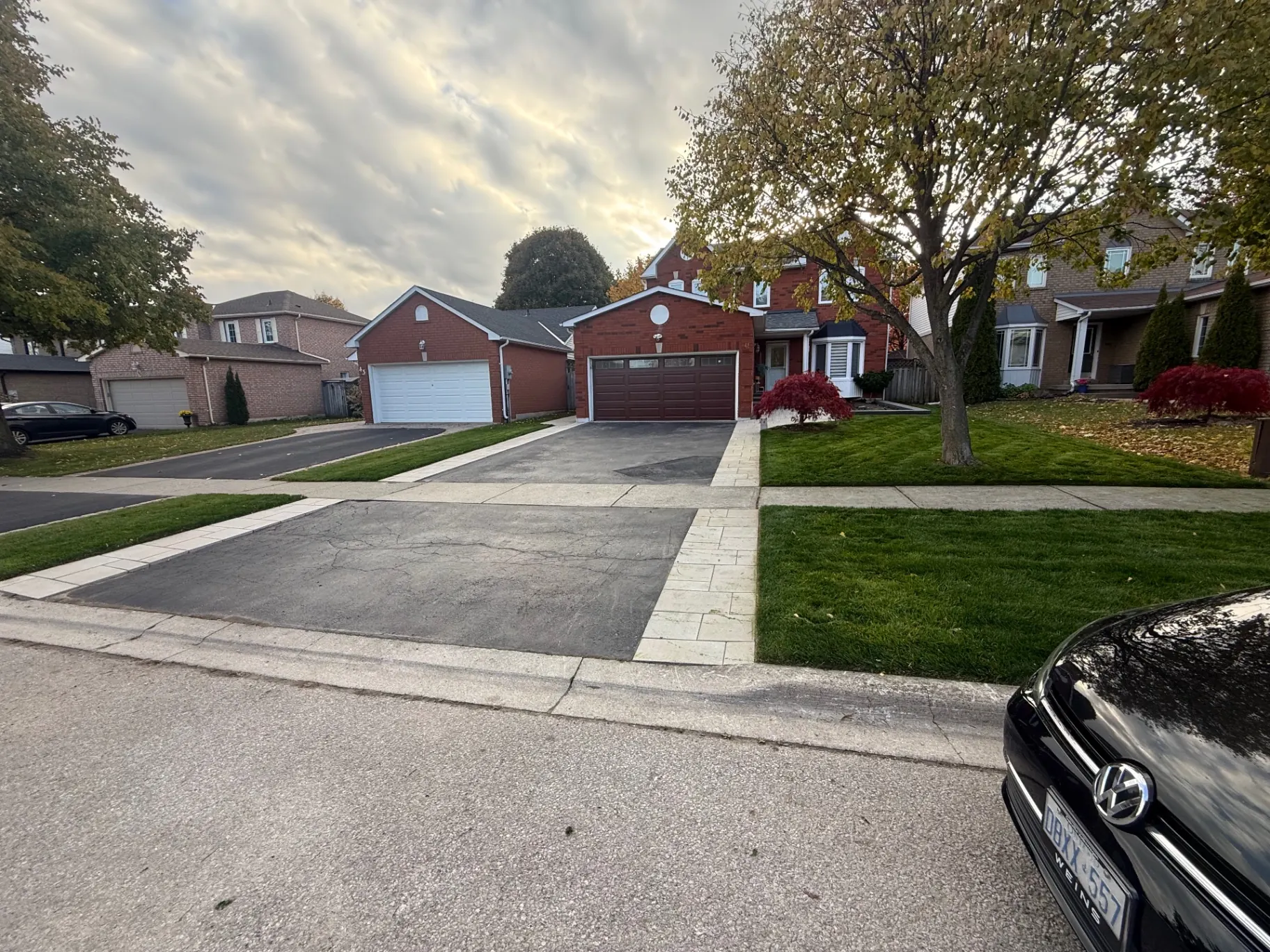 Cleared driveway and tidy lawn during fall cleanup