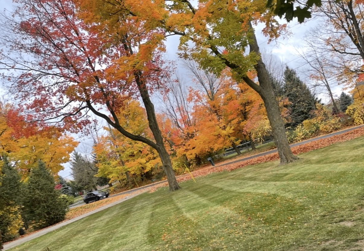 Freshly cut lawn surrounded by fall foliage