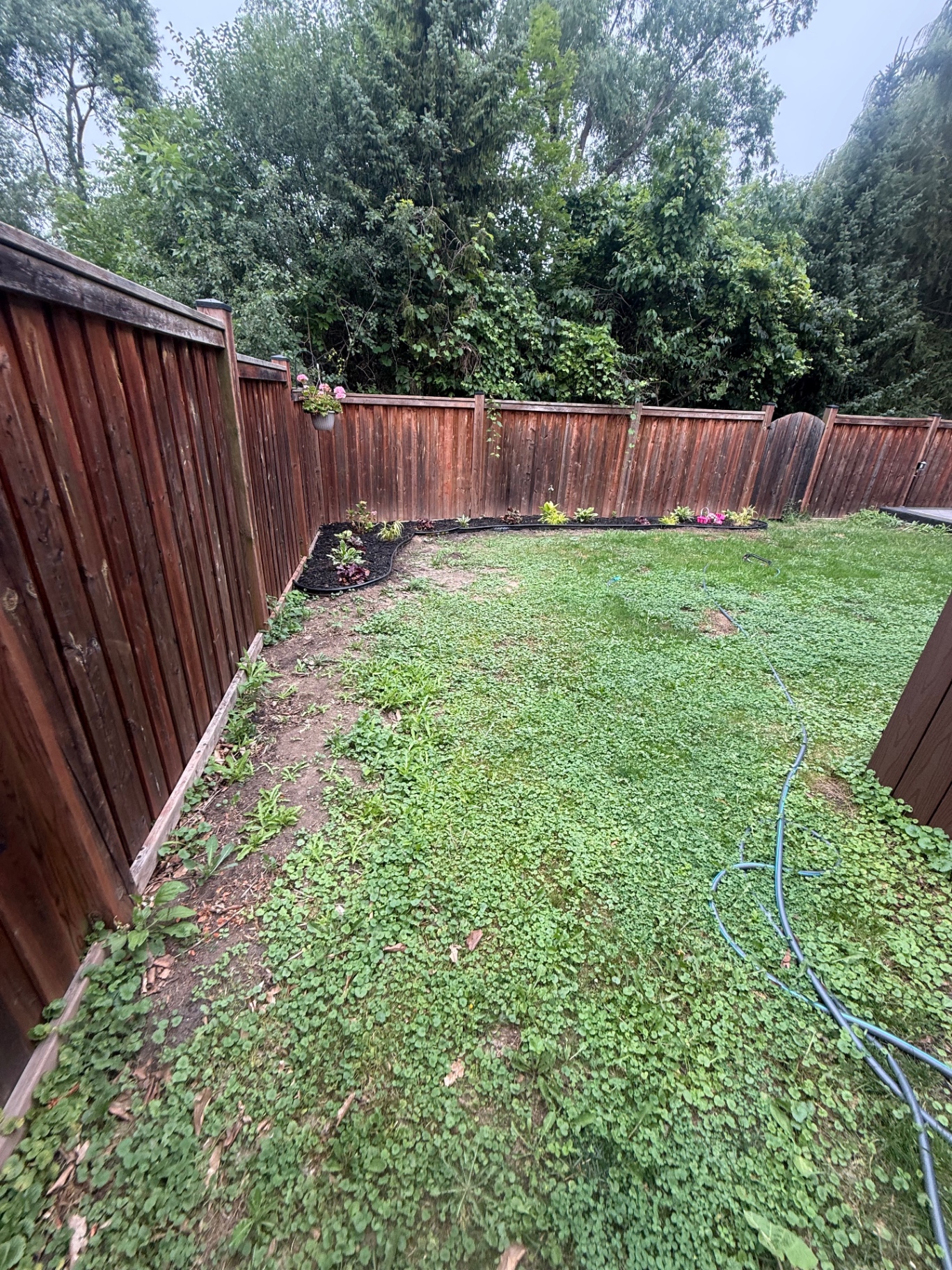 Before — Backyard sod & garden refresh