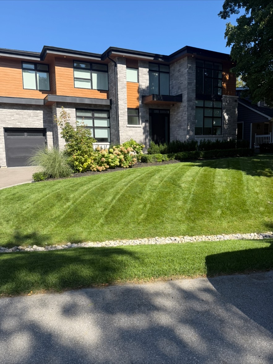 Striped front lawn at a modern stone and cedar home in Burlington