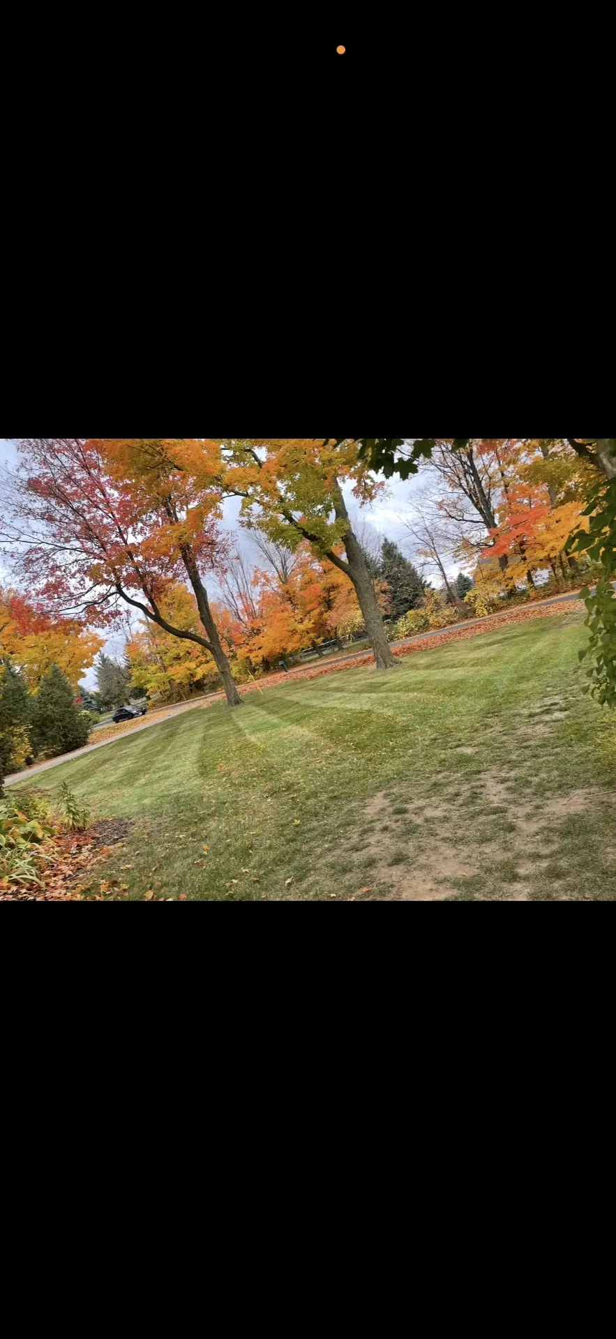 Fall property maintenance and leaf cleanup