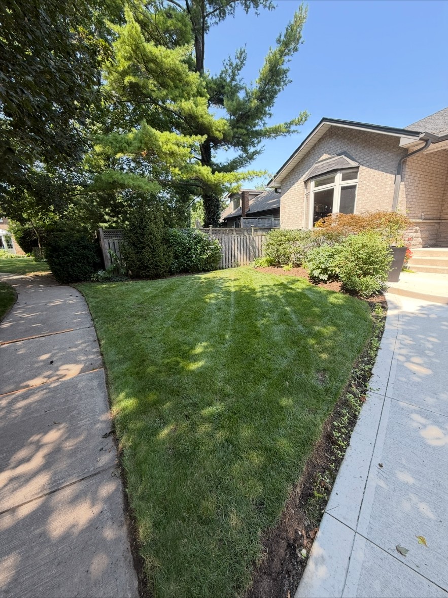 After — Lawn renovation program