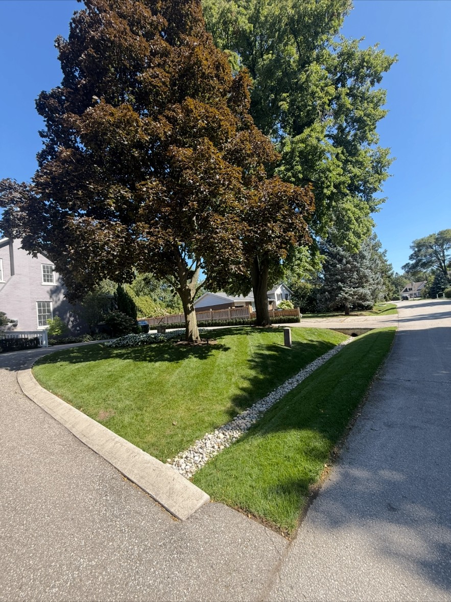 Corner lot lawn with river-rock drainage swale and mature trees
