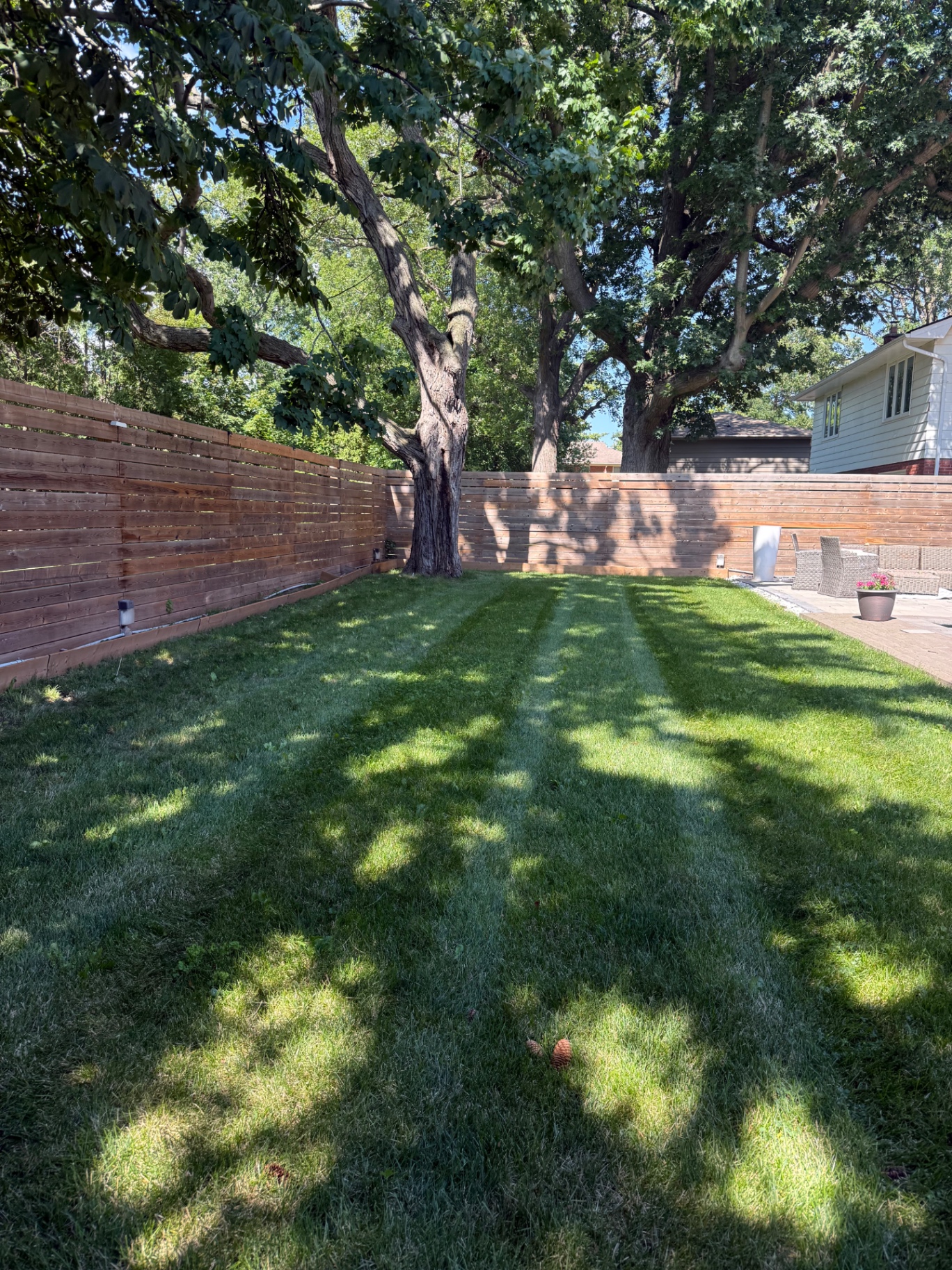 Lawn Care & Maintenance