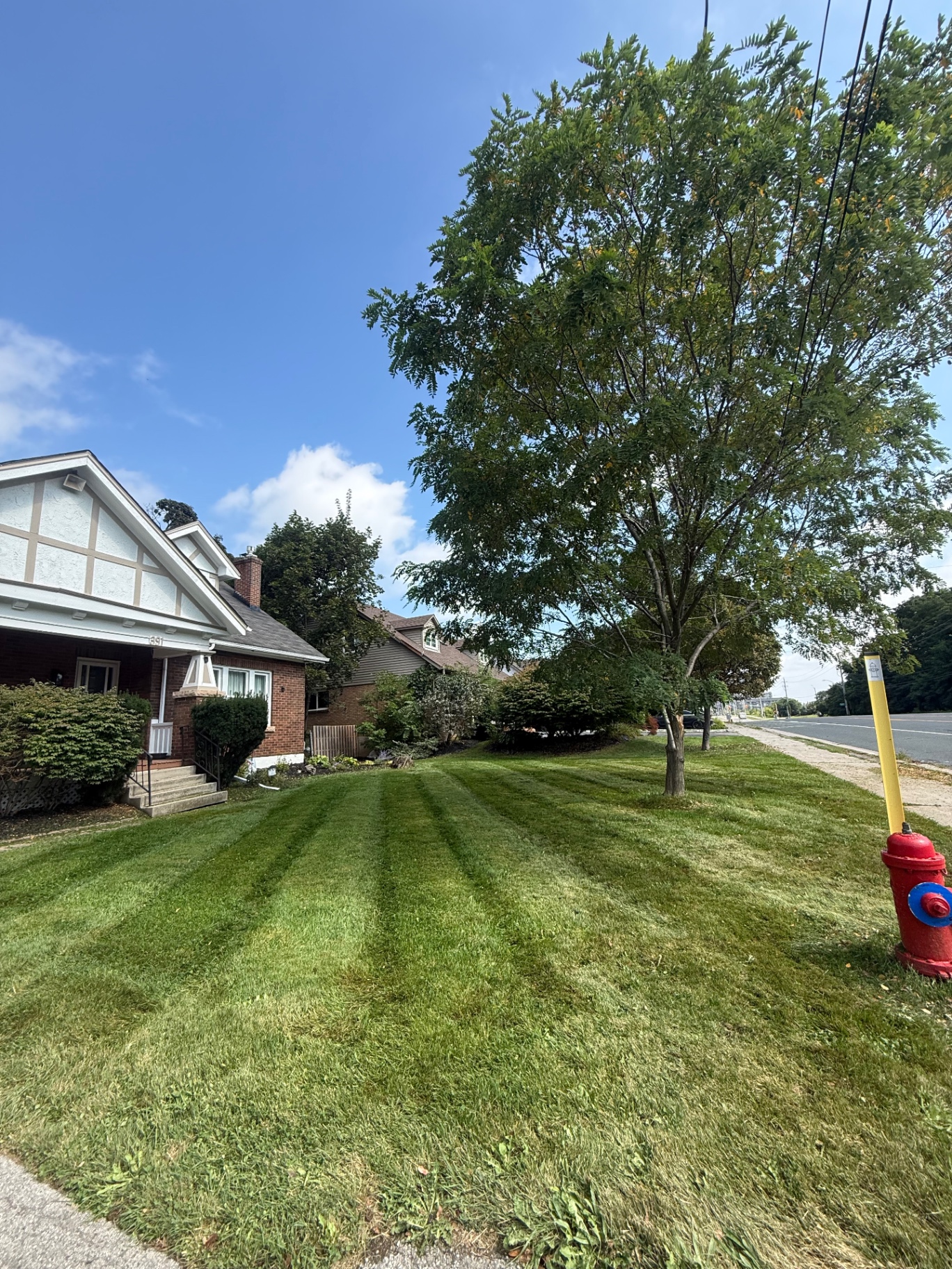 Bold mowing stripes on a corner-lot lawn beside a brick home