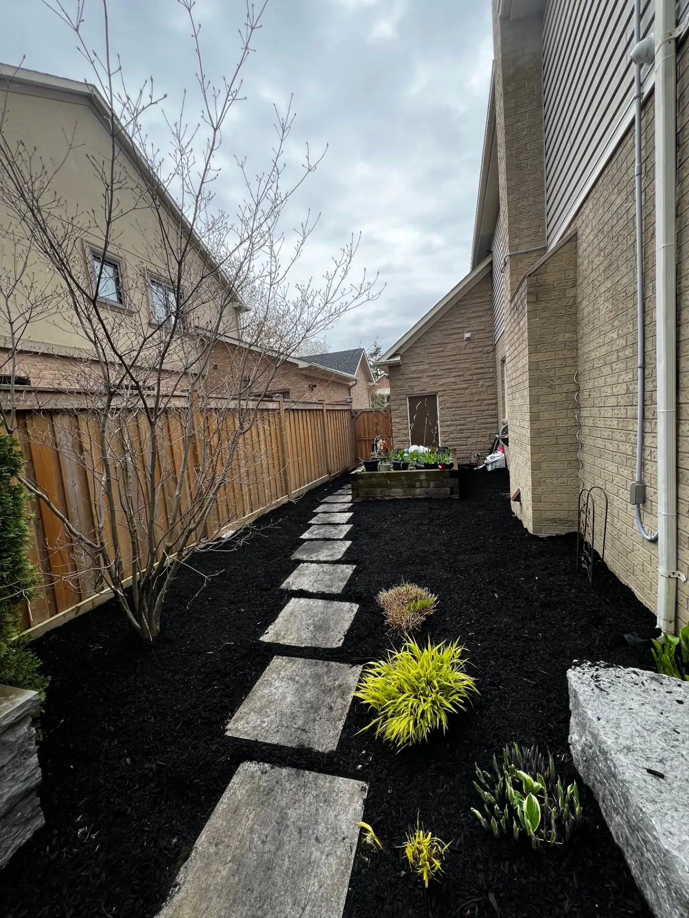 Side yard with black mulch, flagstone stepping stones, and new plantings