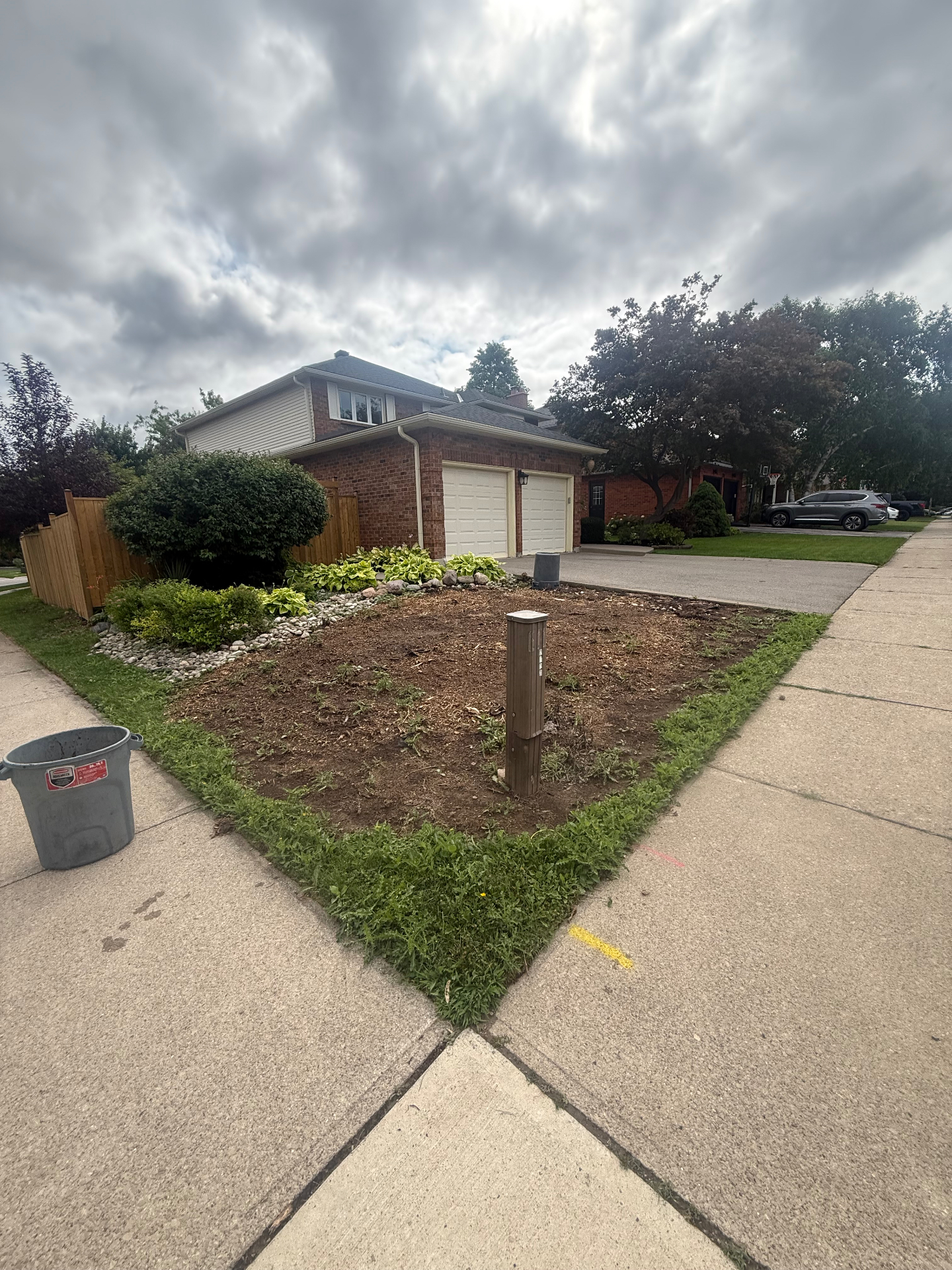 Before — Front lawn sod transformation