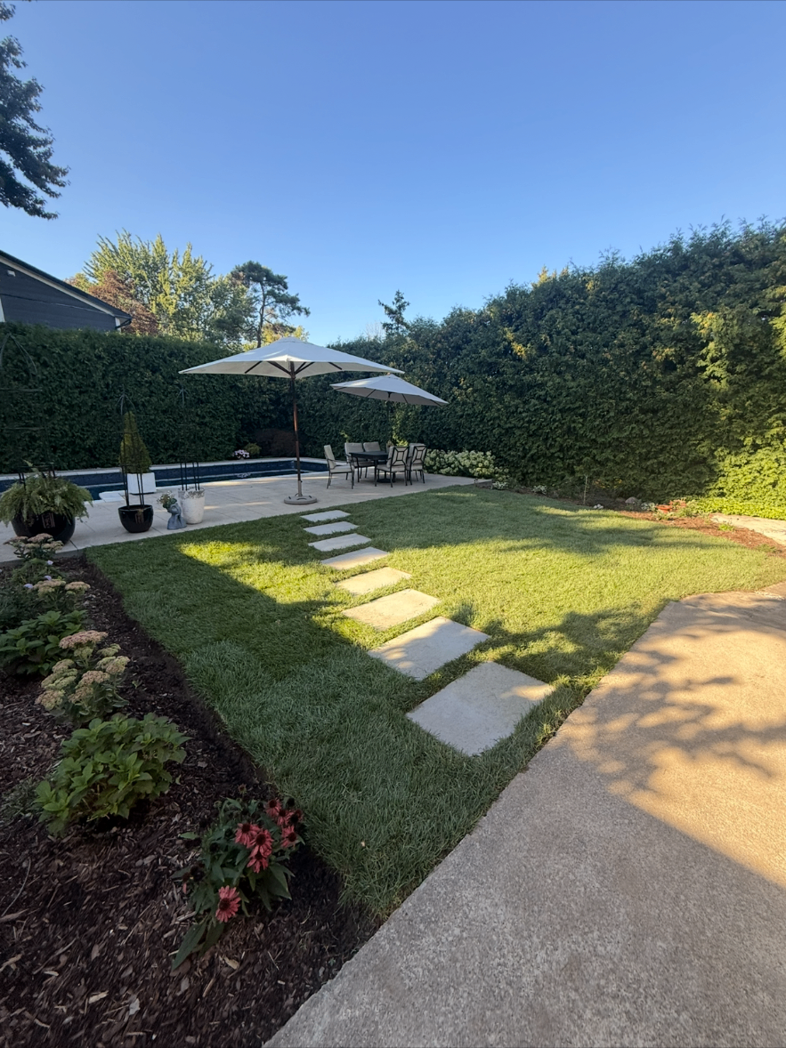 After — Backyard sod & walkway with new gardens