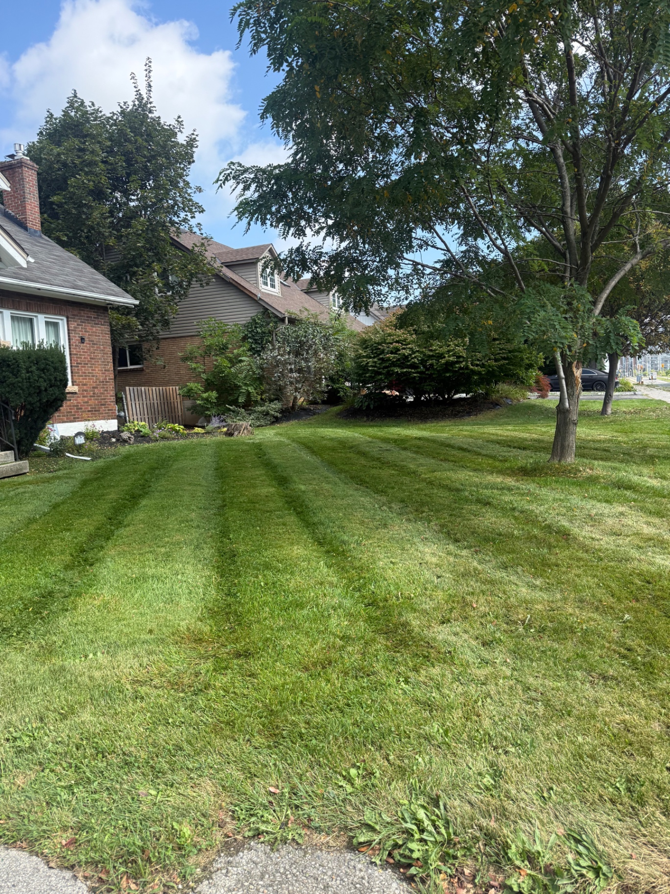 Close view of crisp dark-green mowing stripes across a side yard