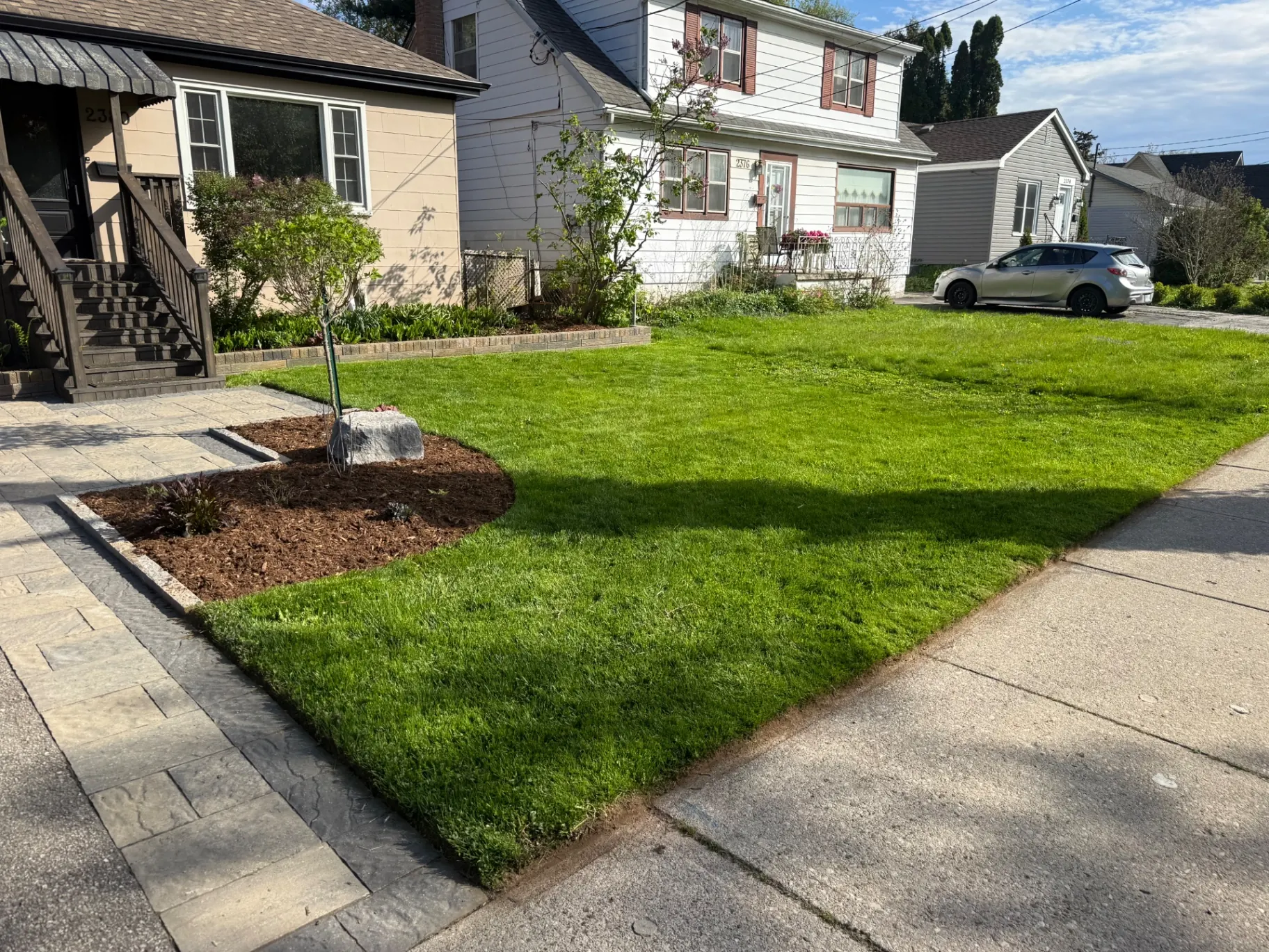 New front lawn sod with fresh mulch bed and paver walkway
